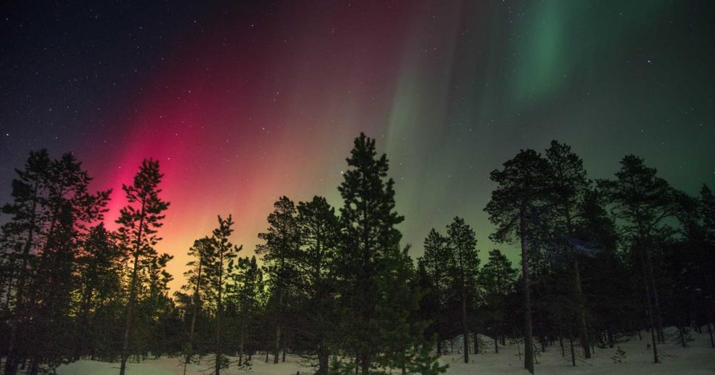 AI and Emotion: Can Machines Feel?