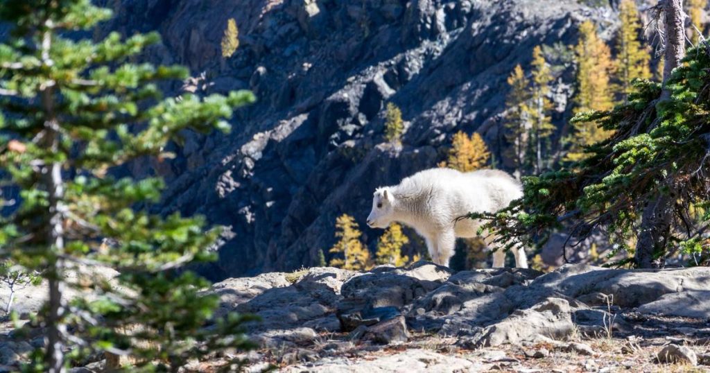 AI and the Philosophy of Art: Can Machines Create?