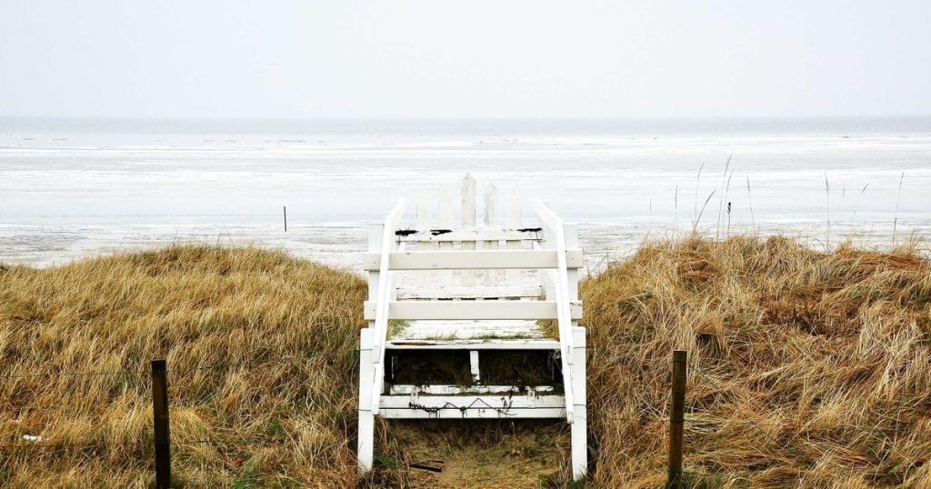 AI Companion Ethics: Navigating Relationships with Artificial Beings