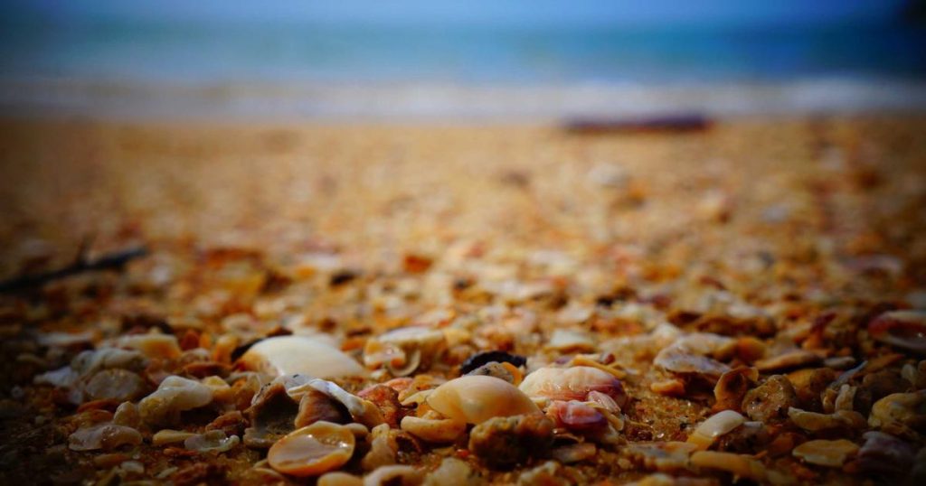 AI Documentation Best Practices: Creating Comprehensive Records for AI Systems