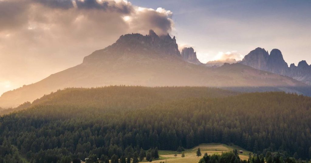 AI for Energy: Smart Grids, Renewable Integration, and Carbon Optimization