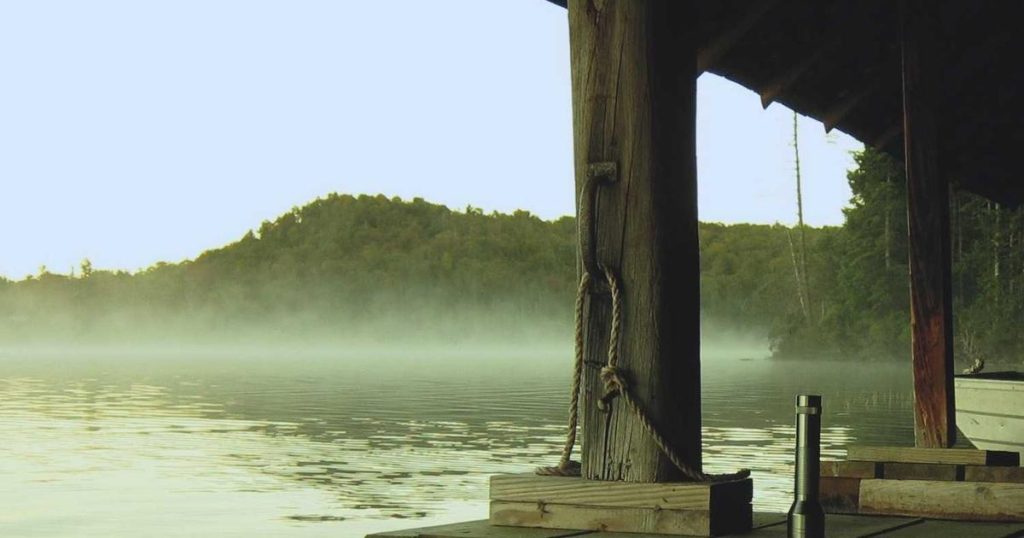 AI for Wildlife Protection: Technology Shields for Nature’s Creatures