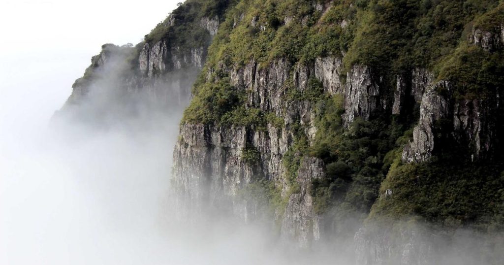 AI in Finance: How Machine Learning is Transforming Banking and Investment