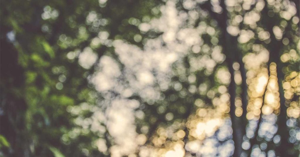 AI in Human Resources: Transforming Talent Management and the Future of Work