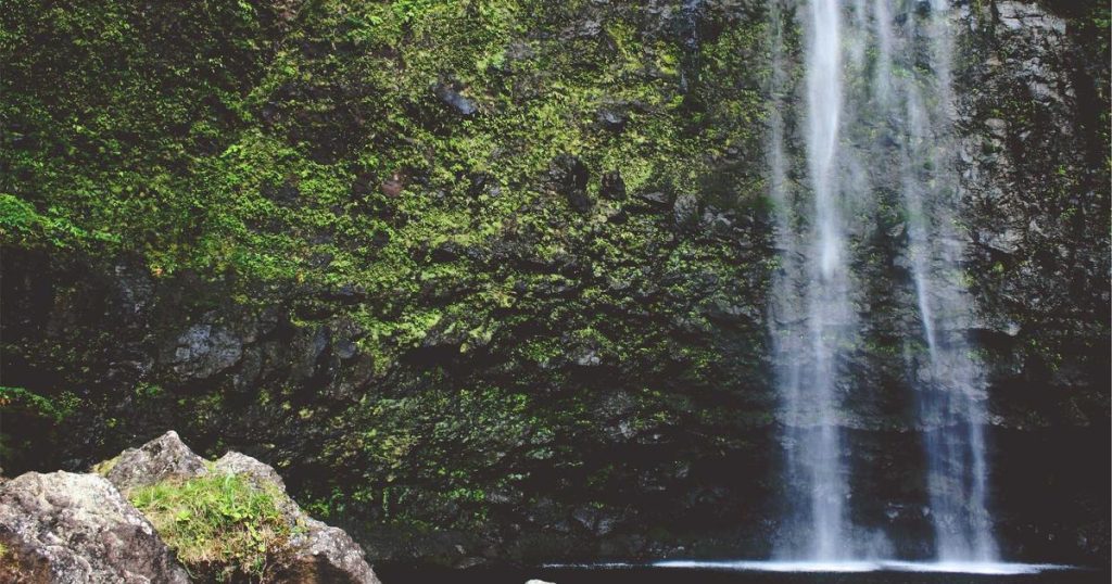 AI in Retail: How Machine Learning is Transforming the Shopping Experience