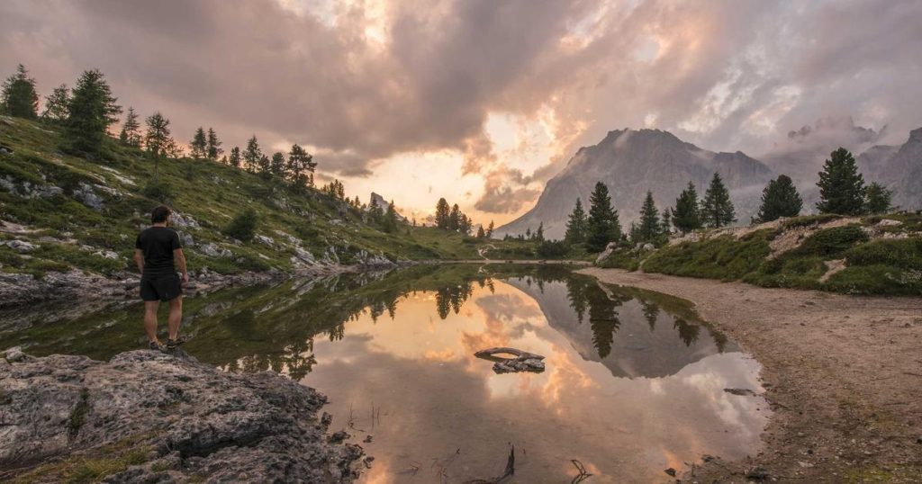 AI in Sports Analytics: How Machine Learning Is Transforming Athletic Performance