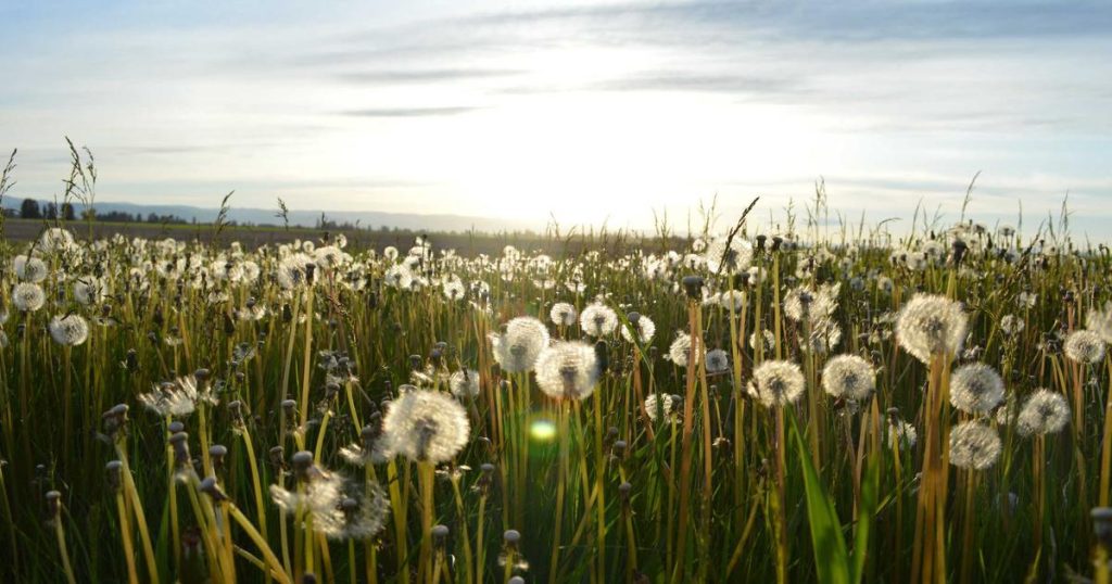 AI in the Energy Sector: Powering the Future with Intelligent Systems