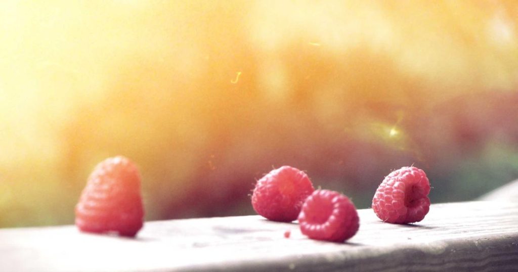 AI in Video Game Development: From NPCs to Procedural Worlds