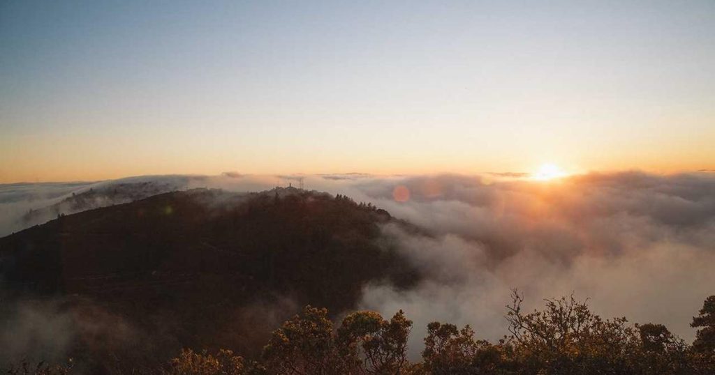 AI Landscape Design: Revolutionizing Outdoor Space Planning