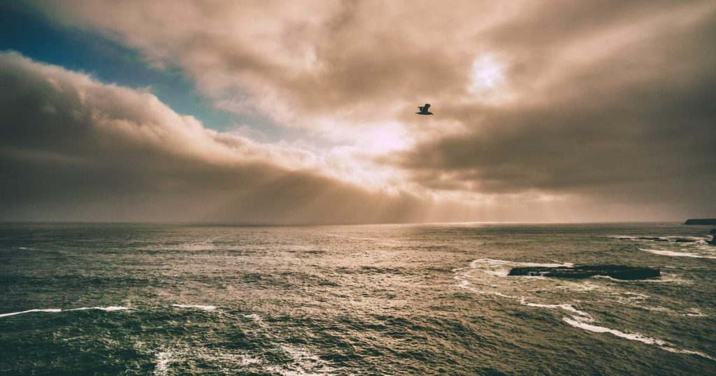 AI Legal Assistants and Contract Analysis: Transforming Legal Practice