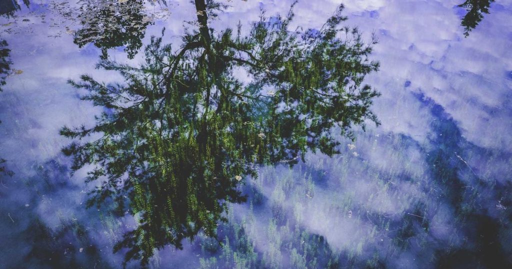 AI Music Generation: How Suno, Udio, and Neural Networks Are Transforming Music Creation