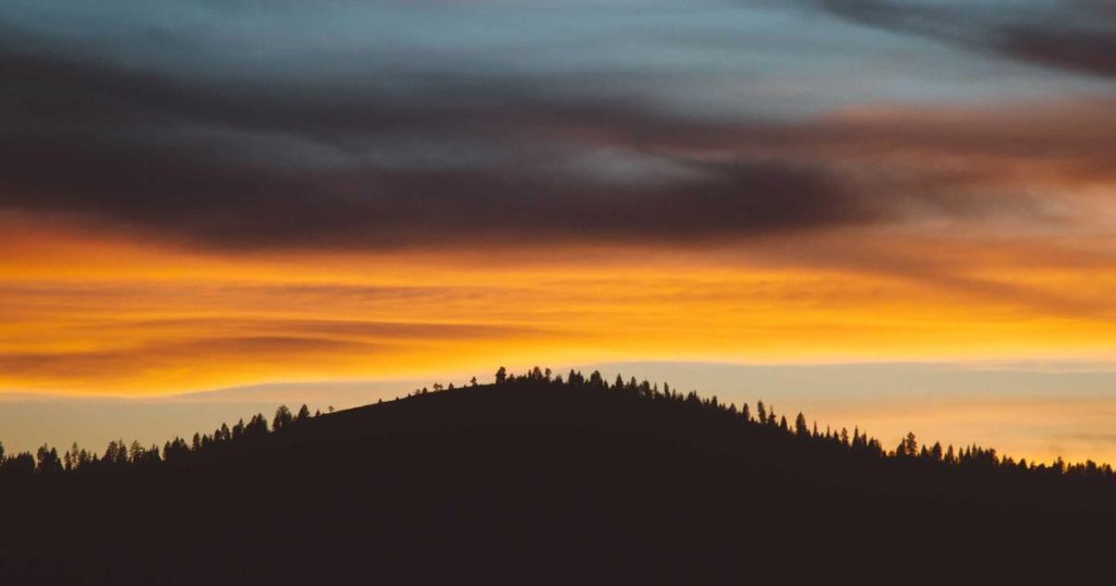 AI-Powered Drug Discovery: Accelerating the Path from Lab to Patient