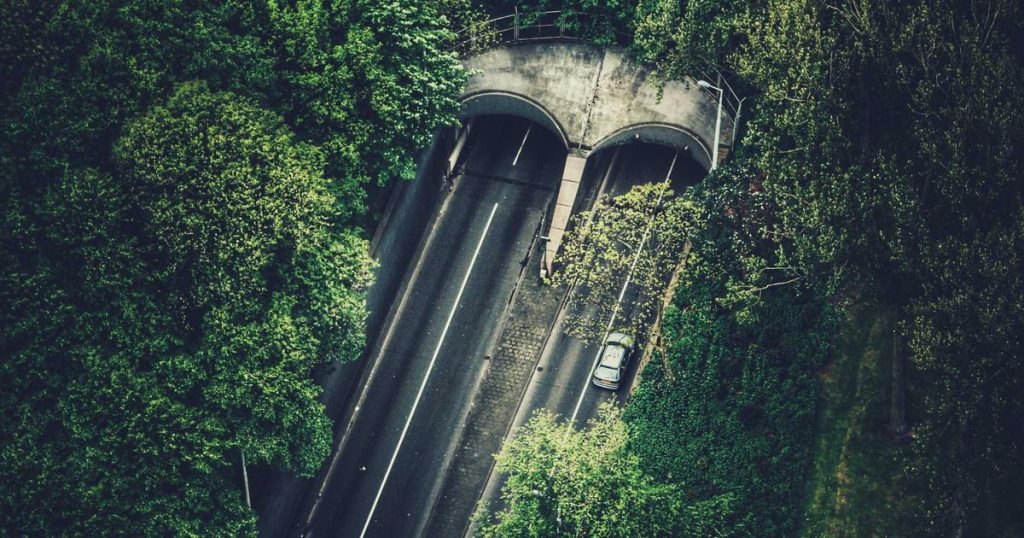 AI Red Teaming: Adversarial Testing and Security for Modern AI Systems