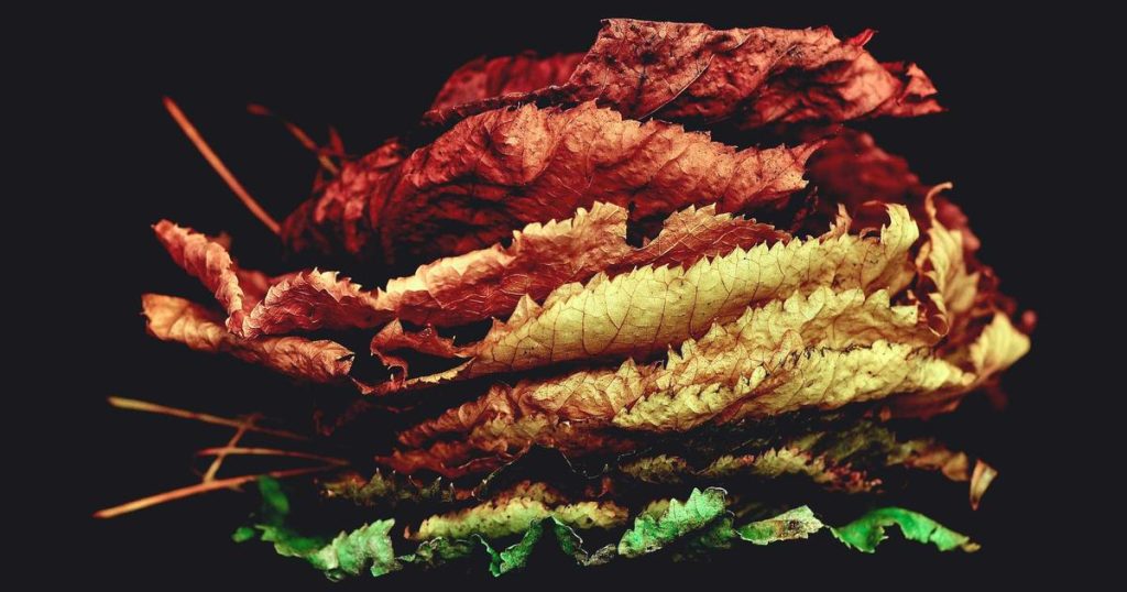 AI Sales Forecasting: Predicting Revenue with Machine Learning