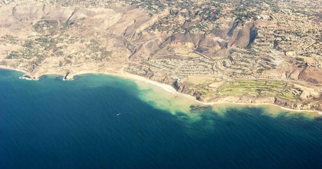 AI Social Media Analytics: Unlocking Insights from Digital Conversations