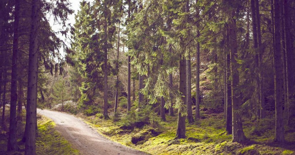 AI Video Generation: From Sora to Runway – The Complete Guide to AI Filmmaking