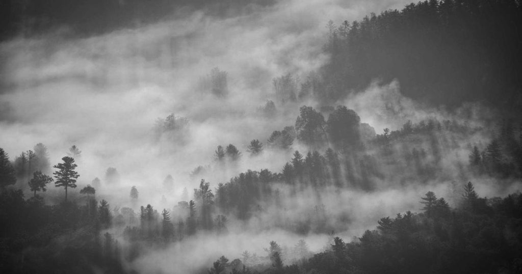 Conversation Flow Design: Mastering the Art of AI-Powered Dialogue Systems