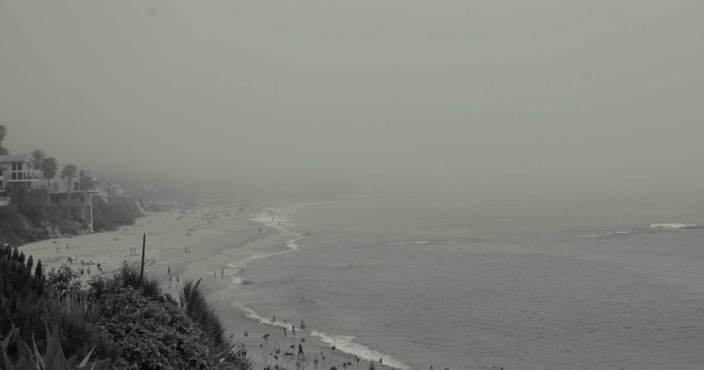 Deepfake Detection: Technologies and Techniques for Identifying Synthetic Media