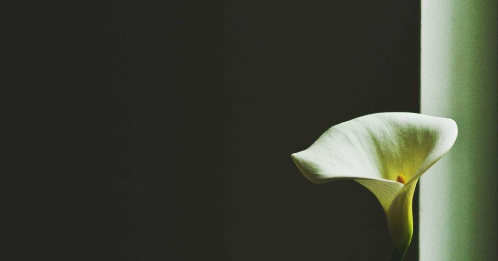 Feature Stores: The Foundation of Production Machine Learning