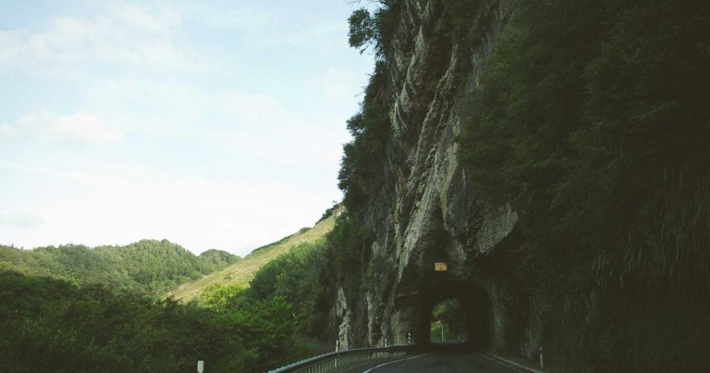 Few-Shot Learning: AI That Learns from Limited Examples