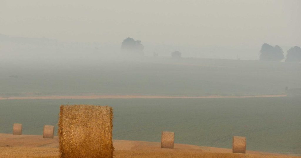 Graph Neural Networks: Deep Learning for Structured and Relational Data