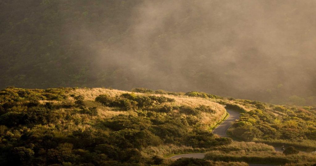 Green AI: Energy Optimization and the Quest for Sustainable Computing