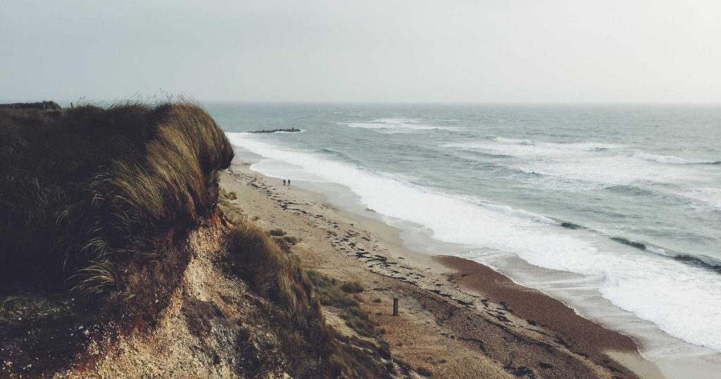 How AI is Revolutionizing Healthcare: From Diagnosis to Drug Discovery