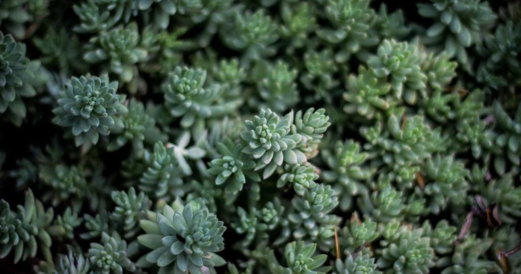 How AI is Transforming the Legal Industry: A Complete Overview