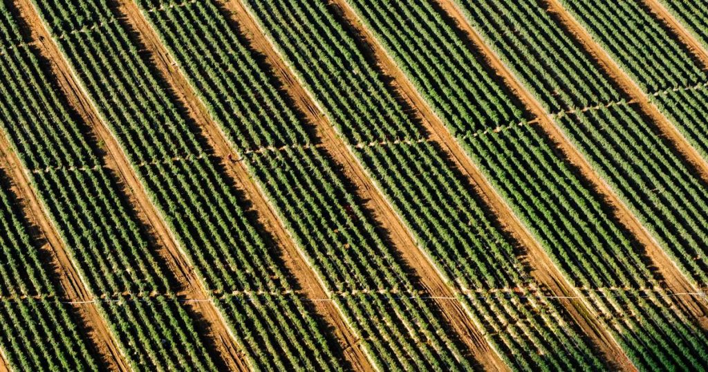 Midjourney Mastery: The Complete Guide to AI Art Generation