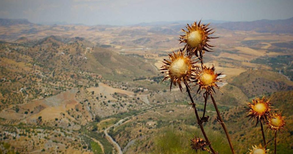 Model Cards and Data Sheets: Essential Documentation for Transparent AI