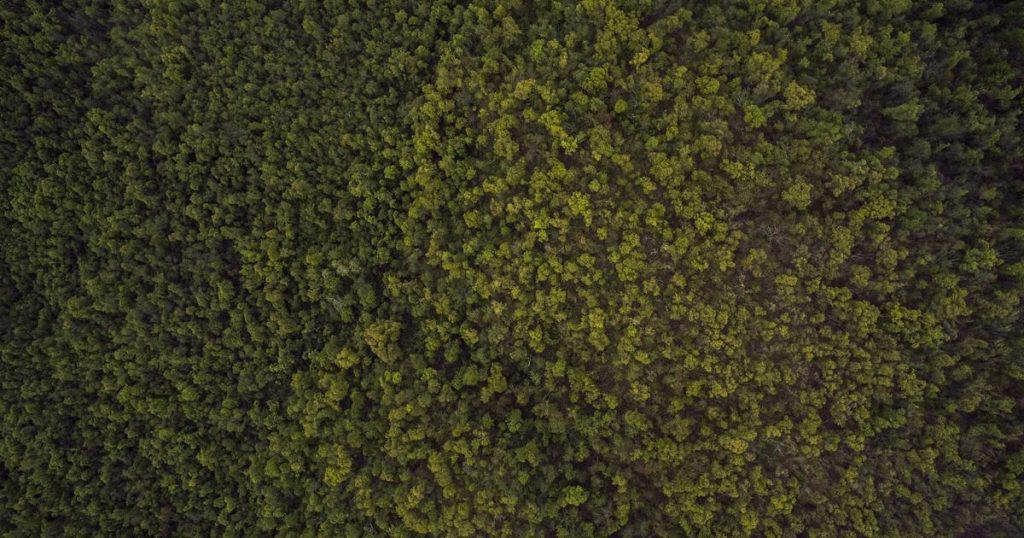 Multimodal AI: Understanding GPT-4V, Gemini, and the Vision-Language Revolution