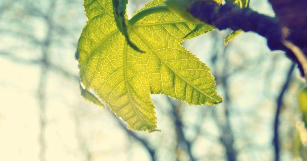 Neural Networks Fundamentals: A Complete Beginner’s Guide