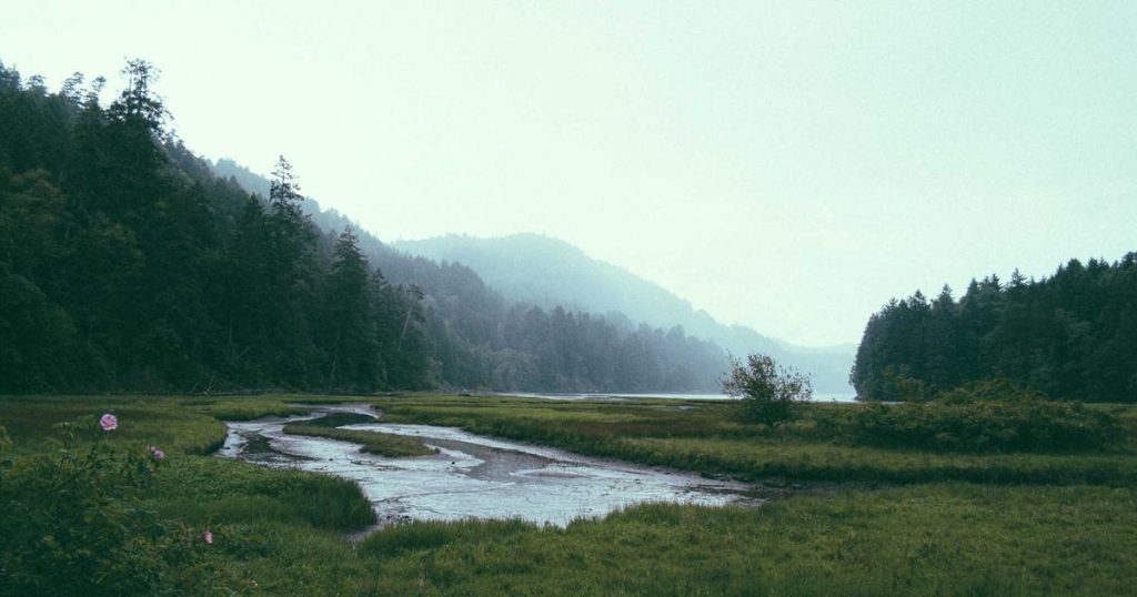 The AI Art Copyright Debate: Creativity, Ownership, and the Future of Creative Industries