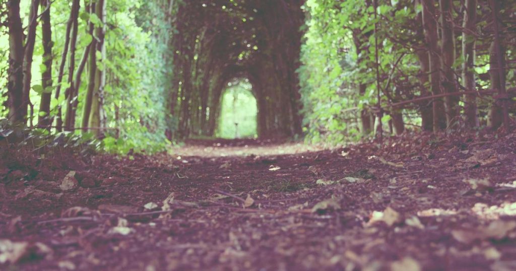 The AI Product Manager’s Complete Guide: Navigating the Unique Challenges of AI Product Development