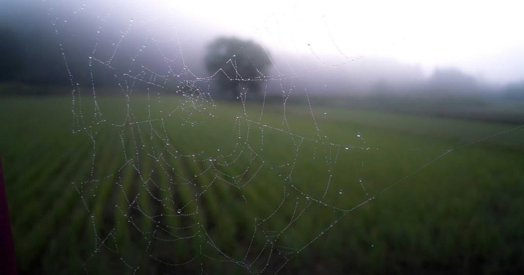 The Ethics of Artificial Intelligence: Navigating Moral Challenges in the Age of AI