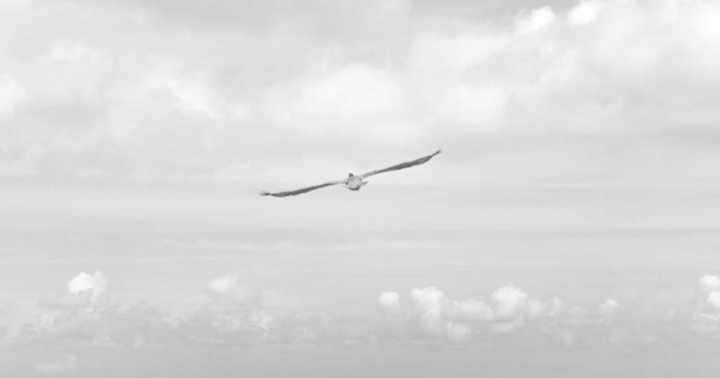 The Evolution of AI Translation: From Rule-Based Systems to Neural Machine Translation