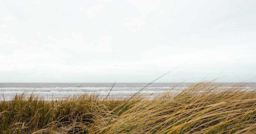 Understanding Large Language Models: The Technology Powering Modern AI