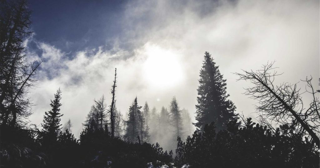 Understanding Transformer Architecture: The Engine Behind Modern AI